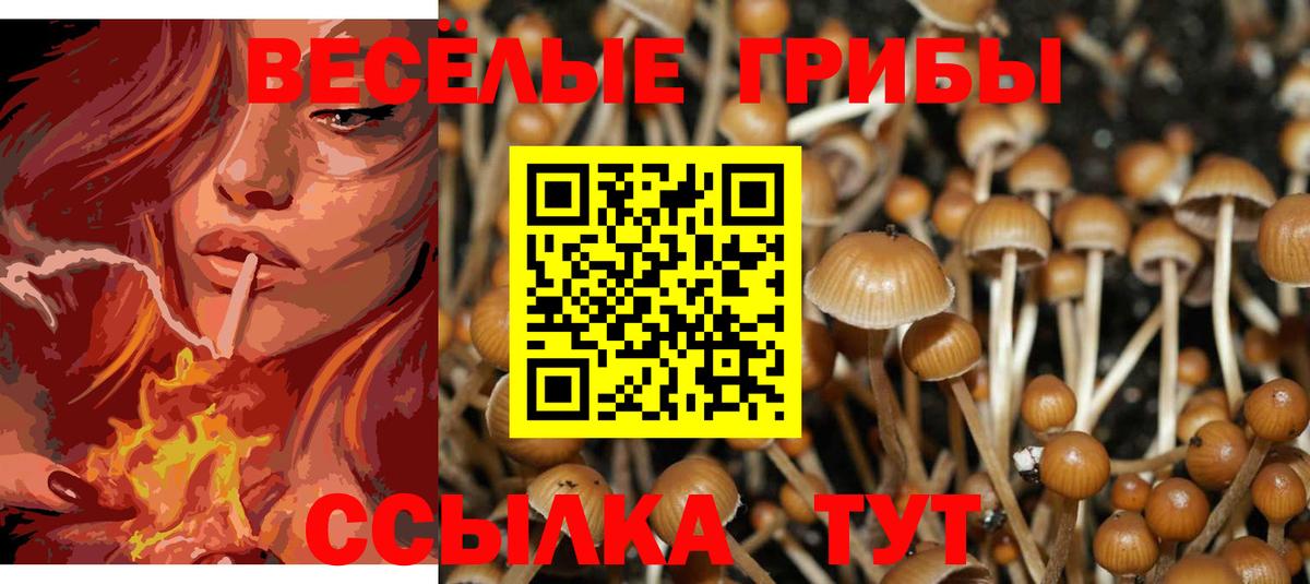 Псилоцибиновые грибы Psilocybine cubensis Мытищи